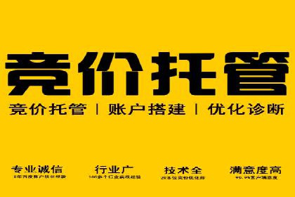 SEM服务优化案例：提升广告效果的方法与策略